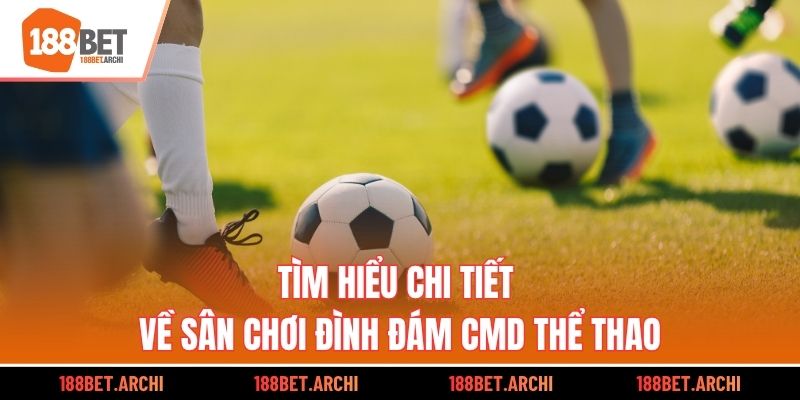 Tìm hiểu chi tiết về sân chơi đình đám CMD thể thao